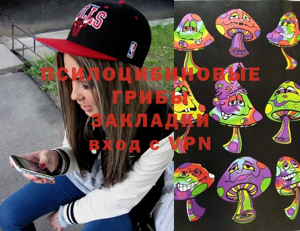MDMA Premium VHQ Бронницы