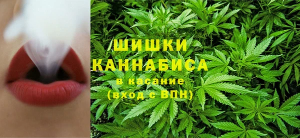 прущая мука Бородино