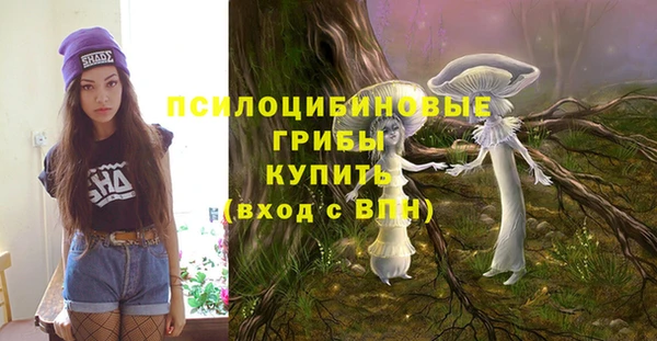 MDMA Premium VHQ Бронницы