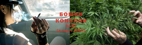 прущая мука Бородино